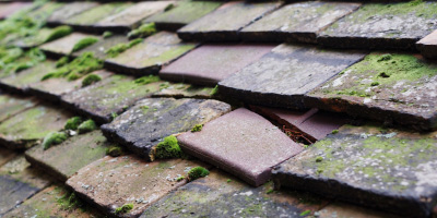 Winford roof repair costs